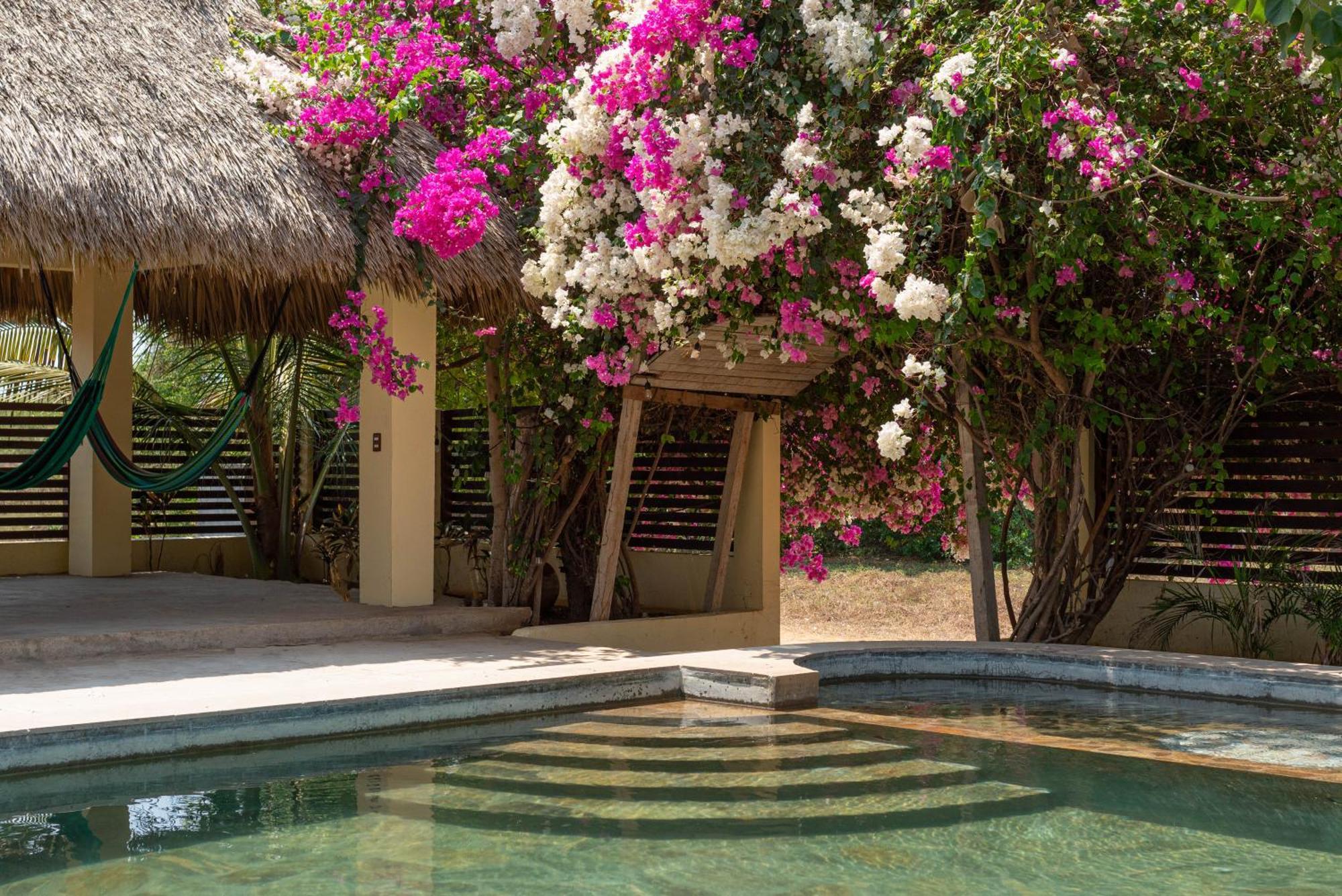Casa De Las Libelulas Tlachicón 外观 照片